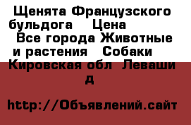 Щенята Французского бульдога. › Цена ­ 45 000 - Все города Животные и растения » Собаки   . Кировская обл.,Леваши д.